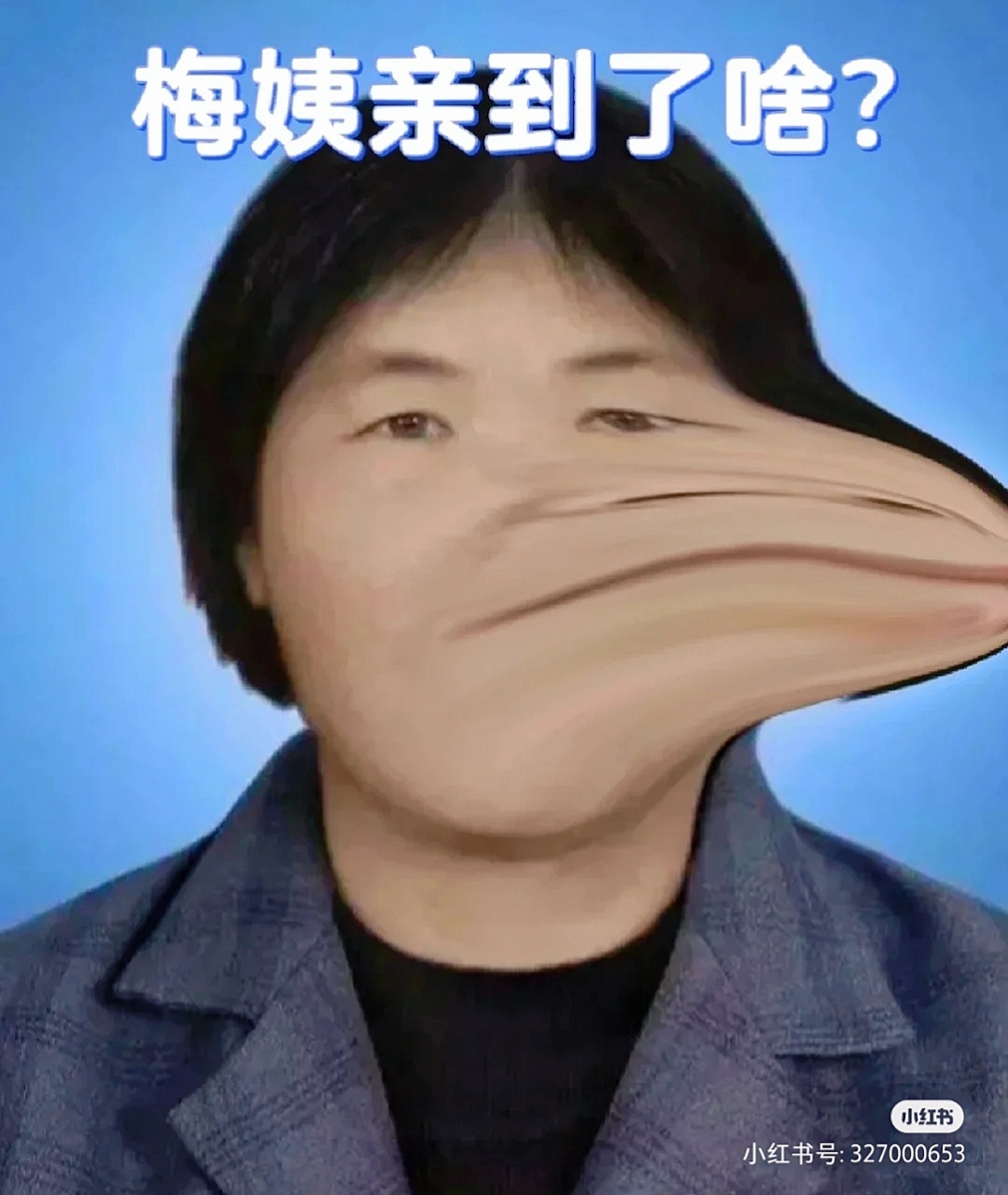 梅姨最新位置追踪进展揭秘，追踪进展大揭秘！